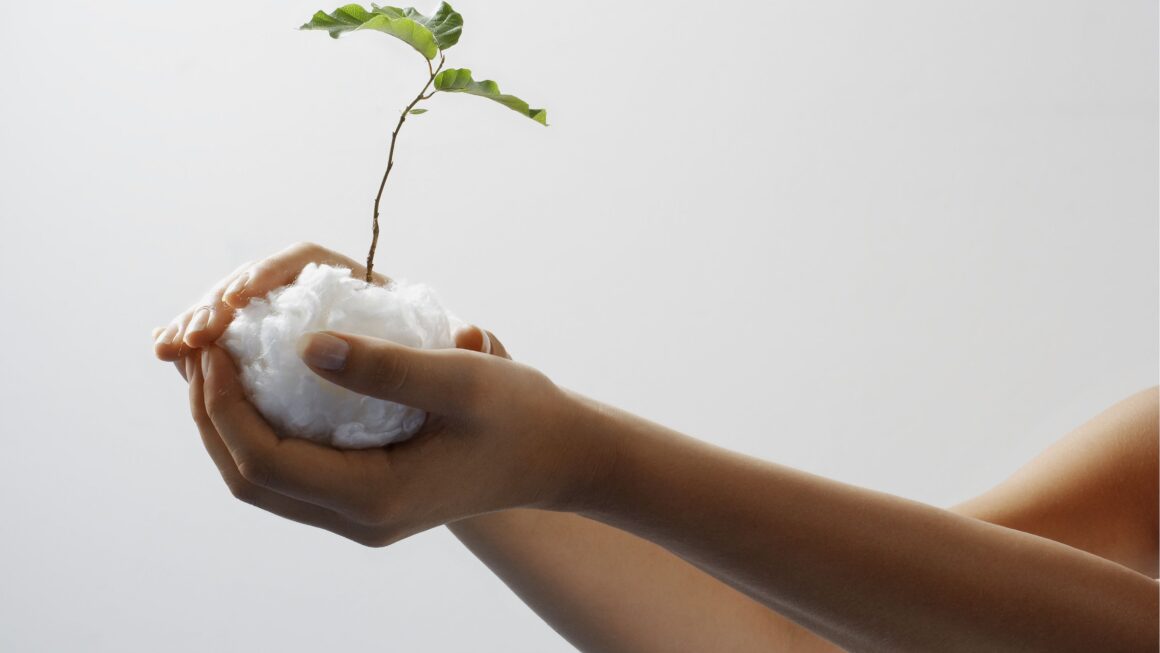 VEOCEL™ Lyocell Production Expands to Asia – Launching a New Chapter for Nonwovens in the Region