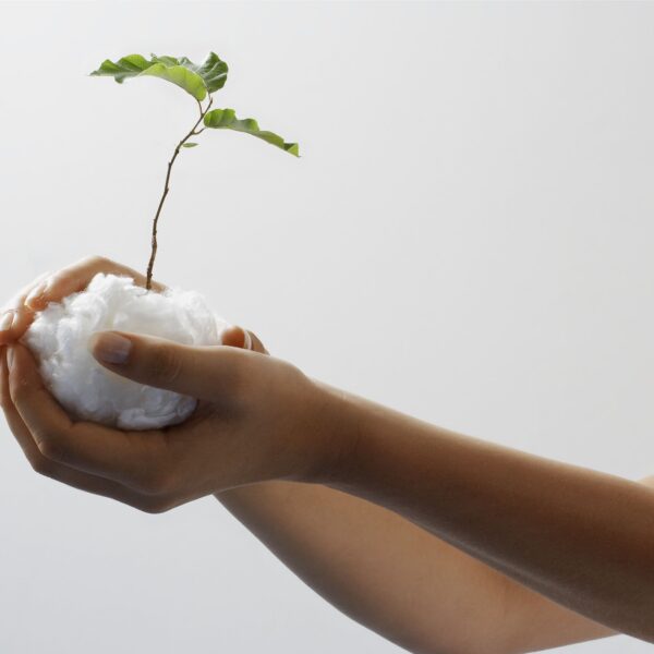 VEOCEL™ Lyocell Production Expands to Asia – Launching a New Chapter for Nonwovens in the Region