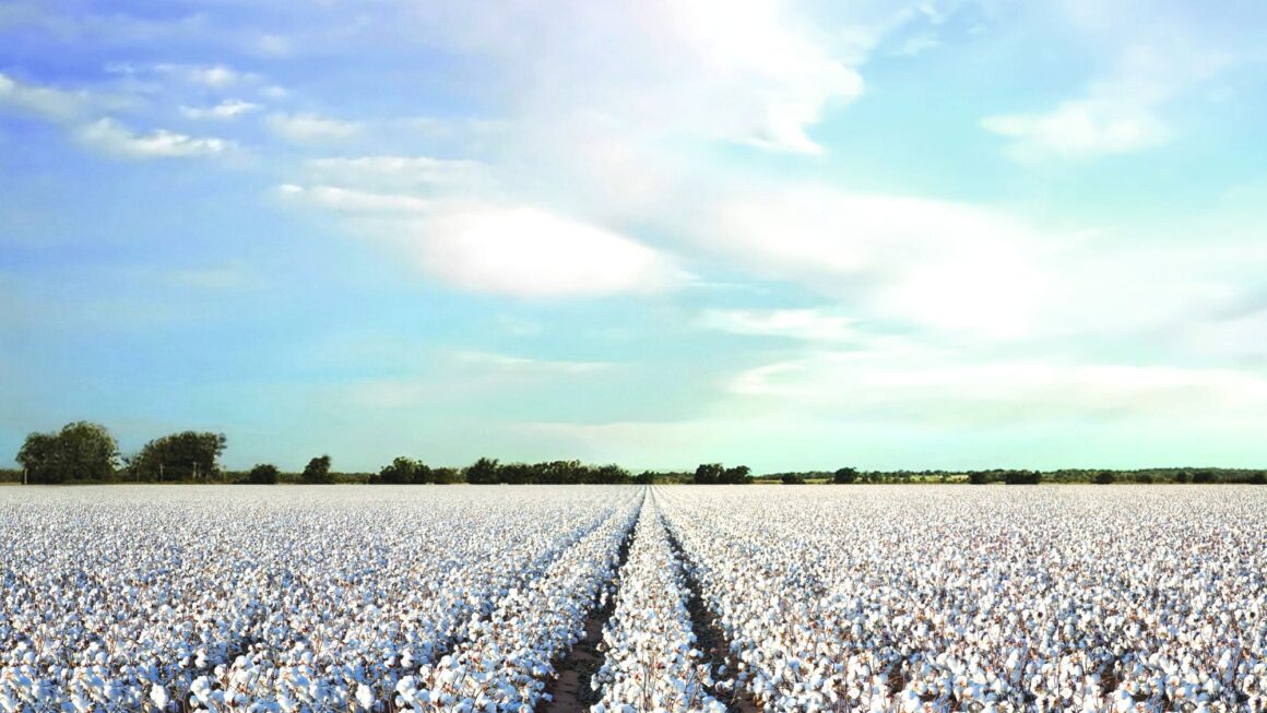 U.S. Cotton Charts the Future of Sustainable, Premium and Traceable Textiles